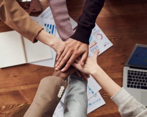 Managing sensitivity through sensibility — What you need to know as a Leader